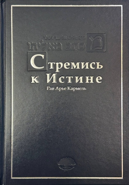 картинка Стремись к истине от магазина Бронная.Shop+