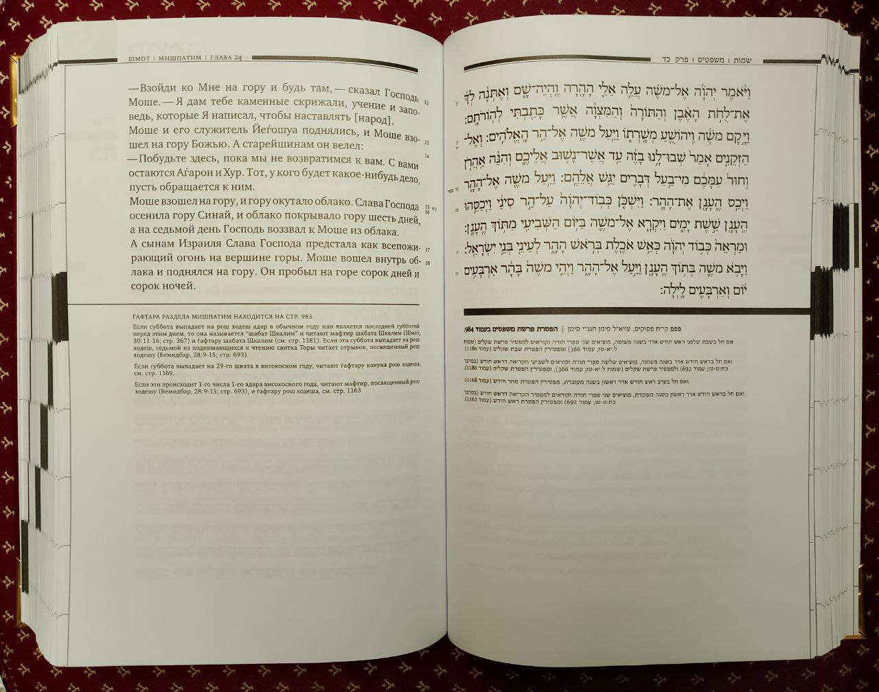 Тора с Гафтарот с оригинальным русским переводом Давида Сафронова